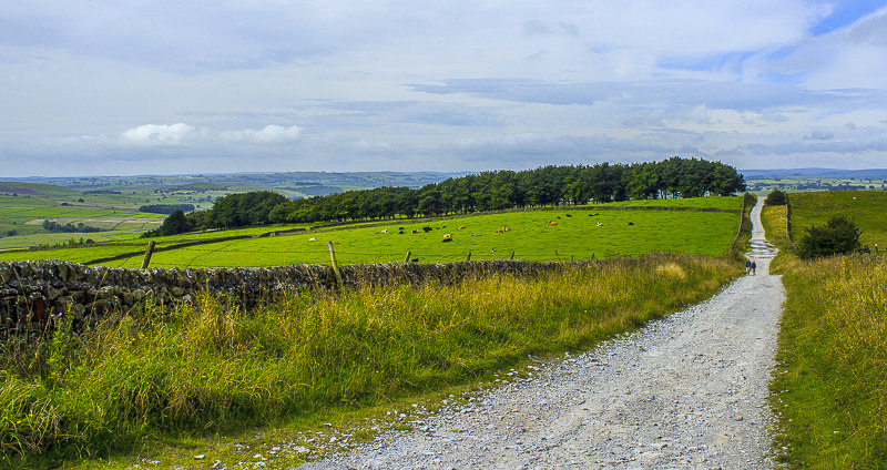 Sir William Hill Road